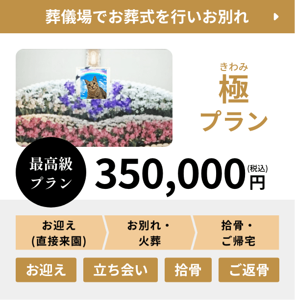 極プラン、葬儀場でお葬式を行いお別れ